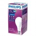 PHILIPS LEDBulb 19-160W E27 6500K 230V A80 APR PHILIPS LEDBulb 19-160W E27 6500K 230V A80 APR